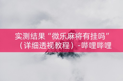 实测结果“微乐麻将有挂吗”（详细透视教程）-哔哩哔哩