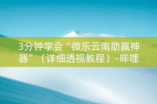 3分钟学会“微乐云南助赢神器”（详细透视教程）-哔哩哔哩