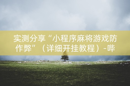 实测分享“小程序麻将游戏防作弊”（详细开挂教程）-哔哩哔哩