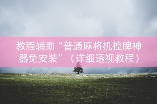 教程辅助“普通麻将机控牌神器免安装”（详细透视教程）-哔哩哔哩