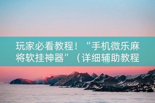 玩家必看教程！“手机微乐麻将软挂神器”（详细辅助教程）-哔哩哔哩
