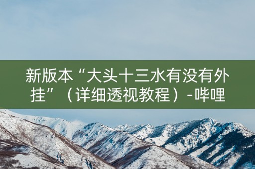 新版本“大头十三水有没有外挂”（详细透视教程）-哔哩哔哩