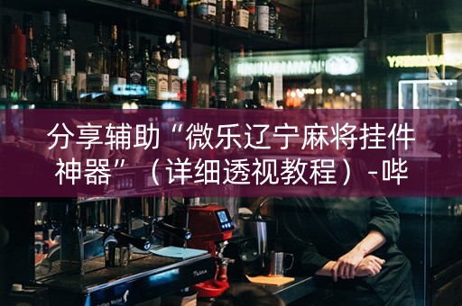 分享辅助“微乐辽宁麻将挂件神器”（详细透视教程）-哔哩哔哩