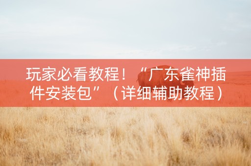 玩家必看教程！“广东雀神插件安装包”（详细辅助教程）-哔哩哔哩