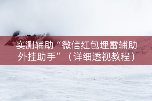 实测辅助“微信红包埋雷辅助外挂助手”（详细透视教程）-哔哩哔哩