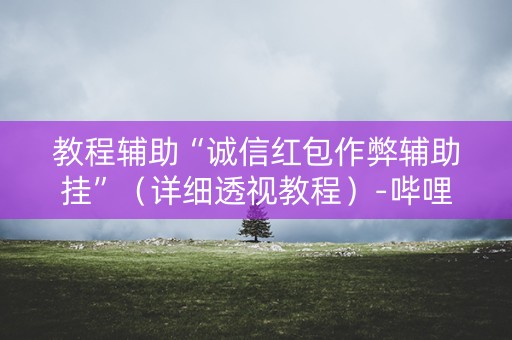 教程辅助“诚信红包作弊辅助挂”（详细透视教程）-哔哩哔哩