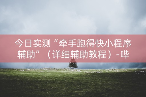 今日实测“牵手跑得快小程序辅助”（详细辅助教程）-哔哩哔哩