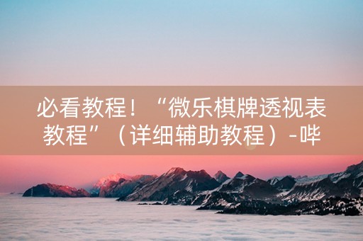 必看教程！“微乐棋牌透视表教程”（详细辅助教程）-哔哩哔哩