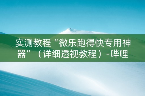 实测教程“微乐跑得快专用神器”（详细透视教程）-哔哩哔哩