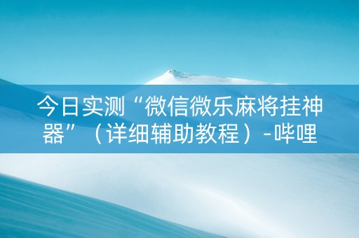今日实测“微信微乐麻将挂神器”（详细辅助教程）-哔哩哔哩