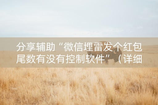 分享辅助“微信埋雷发个红包尾数有没有控制软件”（详细透视教程）-哔哩哔哩