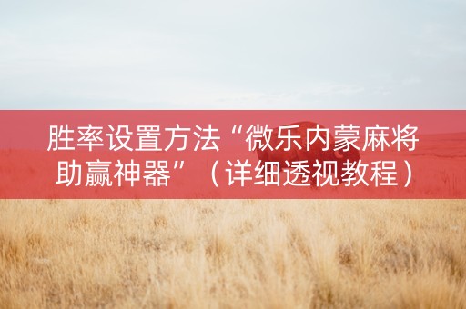 胜率设置方法“微乐内蒙麻将助赢神器”（详细透视教程）-哔哩哔哩