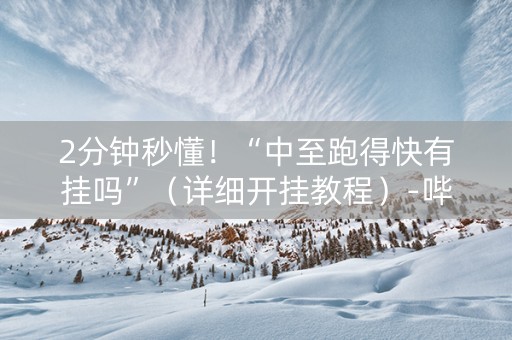 2分钟秒懂！“中至跑得快有挂吗”（详细开挂教程）-哔哩哔哩