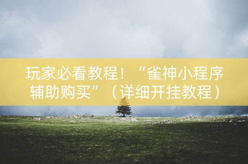玩家必看教程！“雀神小程序辅助购买”（详细开挂教程）-哔哩哔哩