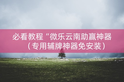 必看教程“微乐云南助赢神器（专用辅牌神器免安装）