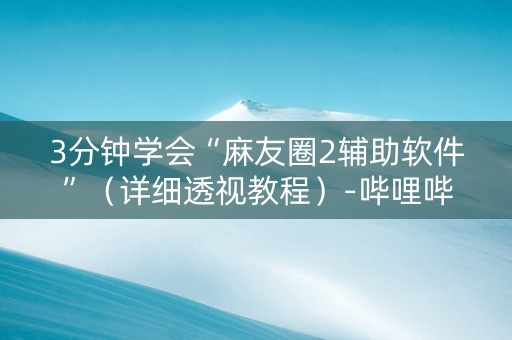 3分钟学会“麻友圈2辅助软件”（详细透视教程）-哔哩哔哩
