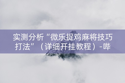 实测分析“微乐捉鸡麻将技巧打法”（详细开挂教程）-哔哩哔哩