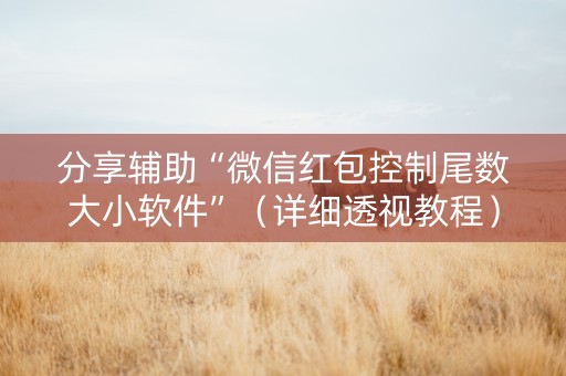 分享辅助“微信红包控制尾数大小软件”（详细透视教程）-哔哩哔哩