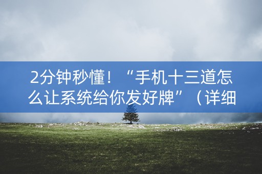 2分钟秒懂！“手机十三道怎么让系统给你发好牌”（详细辅助教程）-哔哩哔哩