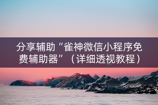 分享辅助“雀神微信小程序免费辅助器”（详细透视教程）-哔哩哔哩