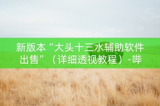 新版本“大头十三水辅助软件出售”（详细透视教程）-哔哩哔哩