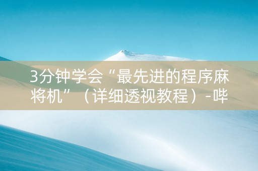 3分钟学会“最先进的程序麻将机”（详细透视教程）-哔哩哔哩