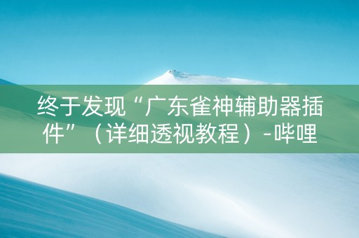 终于发现“广东雀神辅助器插件”（详细透视教程）-哔哩哔哩