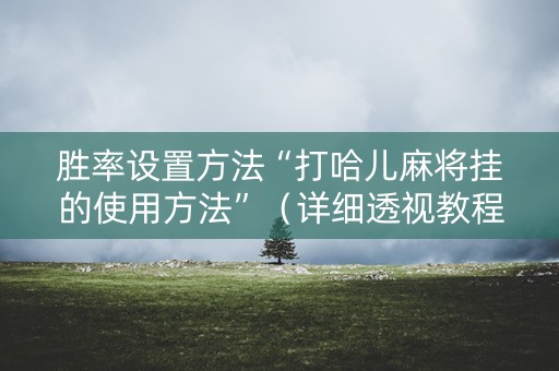 胜率设置方法“打哈儿麻将挂的使用方法”（详细透视教程）-哔哩哔哩