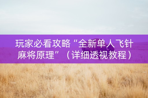 玩家必看攻略“全新单人飞针麻将原理”（详细透视教程）-哔哩哔哩