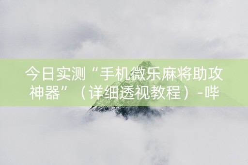 今日实测“手机微乐麻将助攻神器”（详细透视教程）-哔哩哔哩