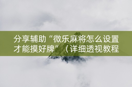 分享辅助“微乐麻将怎么设置才能摸好牌”（详细透视教程）-哔哩哔哩