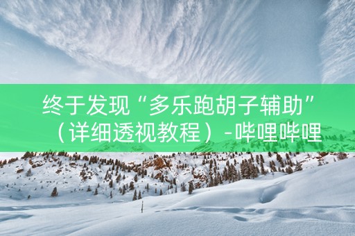 终于发现“多乐跑胡子辅助”（详细透视教程）-哔哩哔哩