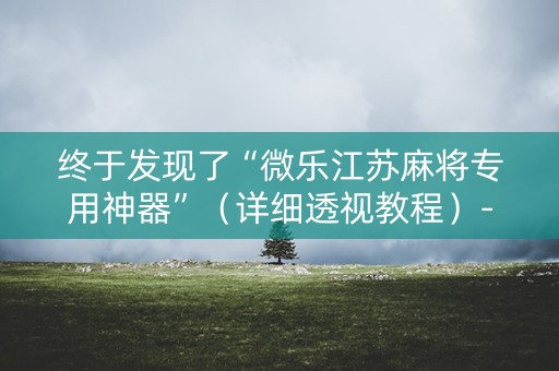 终于发现了“微乐江苏麻将专用神器”（详细透视教程）-哔哩哔哩