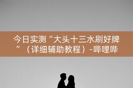 今日实测“大头十三水刷好牌”（详细辅助教程）-哔哩哔哩