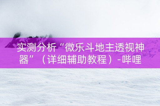 实测分析“微乐斗地主透视神器”（详细辅助教程）-哔哩哔哩