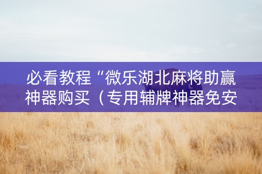 必看教程“微乐湖北麻将助赢神器购买（专用辅牌神器免安装）
