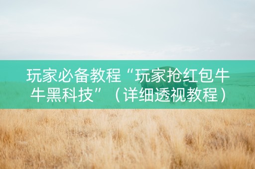 玩家必备教程“玩家抢红包牛牛黑科技”（详细透视教程）-哔哩哔哩