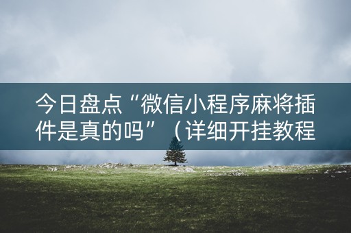 今日盘点“微信小程序麻将插件是真的吗”（详细开挂教程）-哔哩哔哩