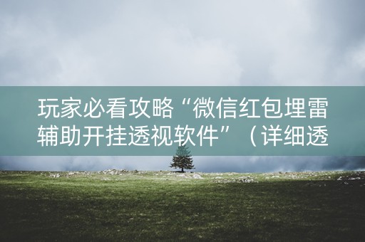 玩家必看攻略“微信红包埋雷辅助开挂透视软件”（详细透视教程）-哔哩哔哩