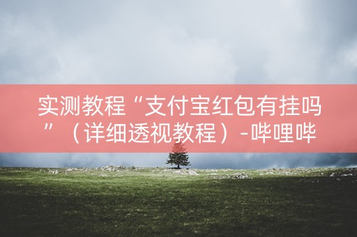 实测教程“支付宝红包有挂吗”（详细透视教程）-哔哩哔哩
