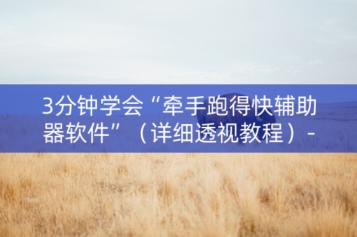 3分钟学会“牵手跑得快辅助器软件”（详细透视教程）-哔哩哔哩