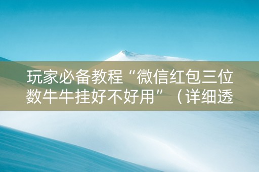 玩家必备教程“微信红包三位数牛牛挂好不好用”（详细透视教程）-哔哩哔哩