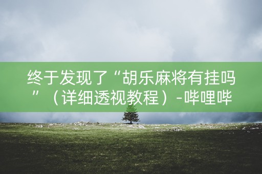 终于发现了“胡乐麻将有挂吗”（详细透视教程）-哔哩哔哩