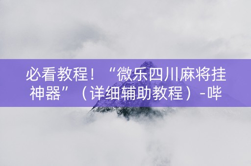 必看教程！“微乐四川麻将挂神器”（详细辅助教程）-哔哩哔哩