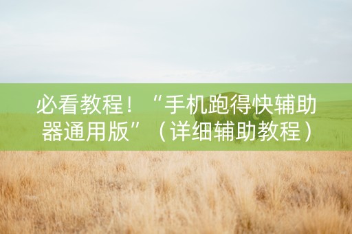 必看教程！“手机跑得快辅助器通用版”（详细辅助教程）-哔哩哔哩
