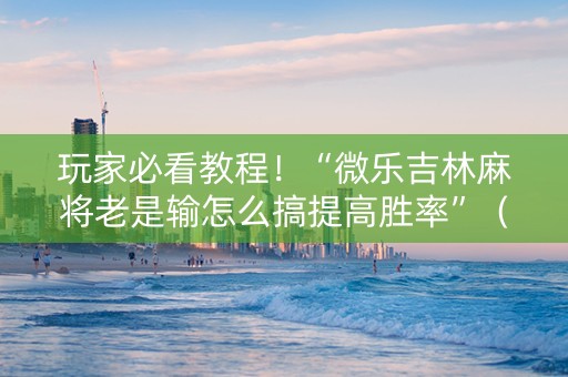 玩家必看教程！“微乐吉林麻将老是输怎么搞提高胜率”（详细辅助教程）-哔哩哔哩