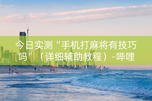 今日实测“手机打麻将有技巧吗”（详细辅助教程）-哔哩哔哩
