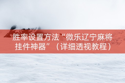 胜率设置方法“微乐辽宁麻将挂件神器”（详细透视教程）-哔哩哔哩