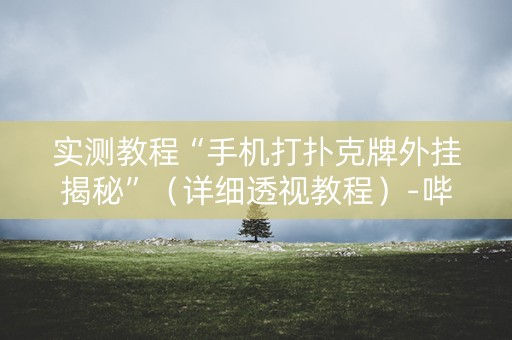 实测教程“手机打扑克牌外挂揭秘”（详细透视教程）-哔哩哔哩