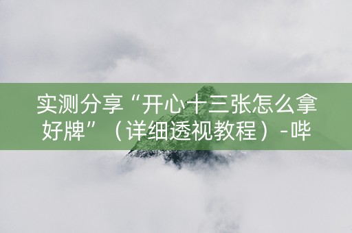 实测分享“开心十三张怎么拿好牌”（详细透视教程）-哔哩哔哩